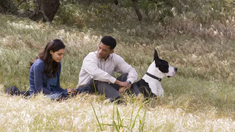 შვიდი სიცოცხლე ქართულად | Seven Pounds Qartulad 