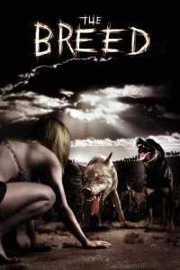 ხროვა ქართულად | The Breed Qartulad