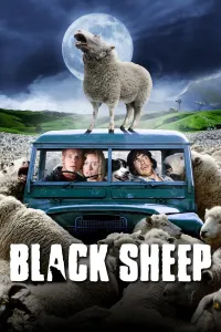 შავი ცხვარი ქართულად | Black Sheep Qartulad