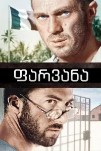 ფარვანა ქართულად | Papillon Qartulad