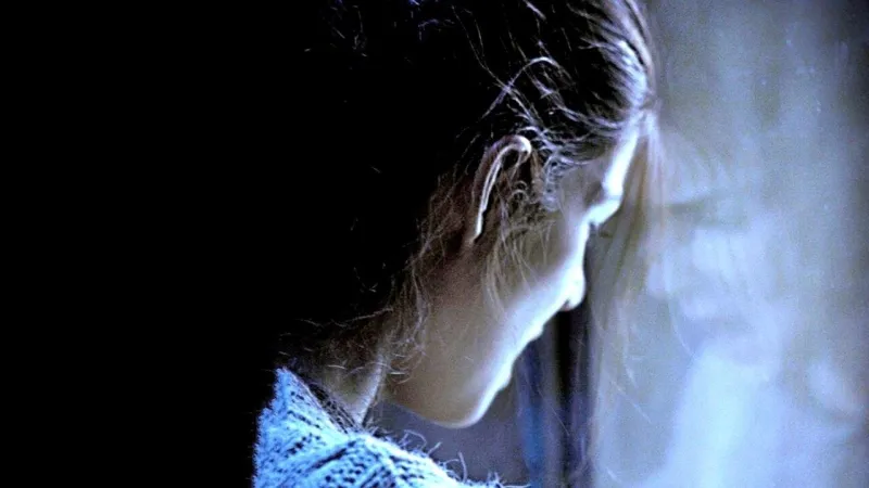 ბუნკერი ქართულად | The Hidden Face Qartulad 