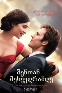 მე შენამდე ქართულად | Me Before You Qartulad