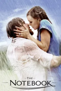 უბის წიგნაკი ქართულად | The Notebook Qartulad