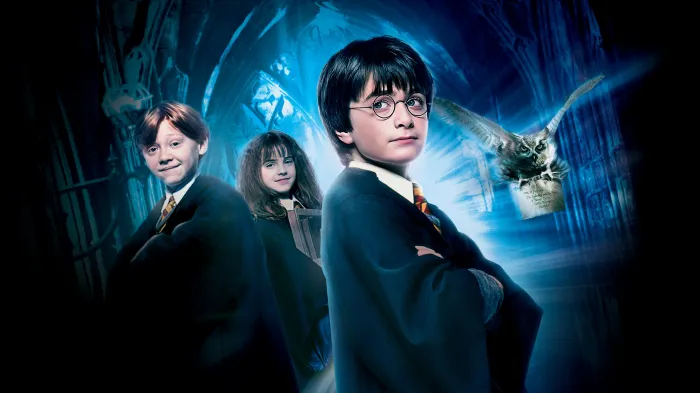 ჰარი პოტერი და ფილოსოფიური ქვა ქართულად | Harry Potter and the Sorcerers Stone Qartulad