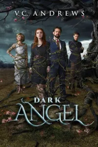 ბნელი ანგელოზი ქართულად | Dark Angel Qartulad