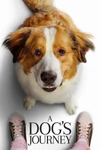 ძაღლის მოგზაურობა ქართულად | A Dogs Journey Qartulad