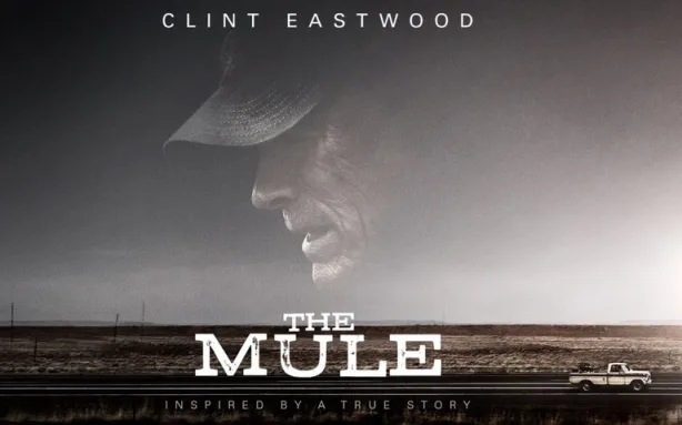 ნარკოკურიერი ქართულად | The Mule Qartulad 