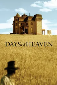 მკის დღეები ქართულად | Days of Heaven Qartulad
