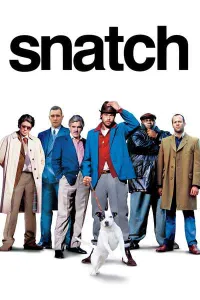 დიდი ფსონი ქართულად | Snatch Qartulad