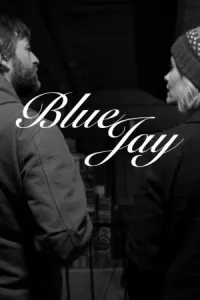 კაჭკაჭჯაფარა ქართულად | Blue Jay Qartulad