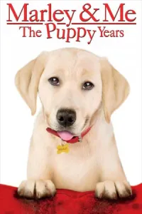 მარლი და მე ქართულად | Marley and Me Qartulad