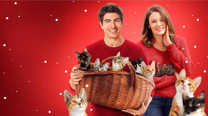 ცხრა საშობაო კნუტი ქართულად | The Nine Kittens of Christmas Qartulad