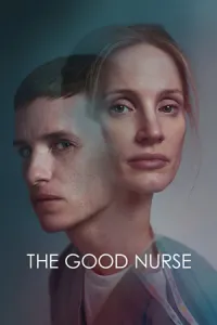 კარგი ექთანი ქართულად | The Good Nurse Qartulad