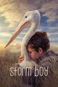 ბიჭი-გრიგალი ქართულად | Storm Boy Qartulad