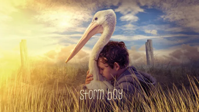 ბიჭი-გრიგალი ქართულად | Storm Boy Qartulad
