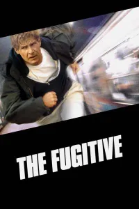 გაქცეული ქართულად | The Fugitive Qartulad