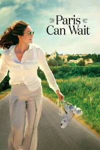 პარიზი დაიცდის ქართულად | Paris Can Wait Qartulad