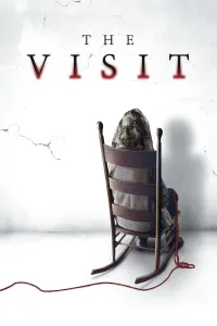 ვიზიტი ქართულად | The Visit Qartulad