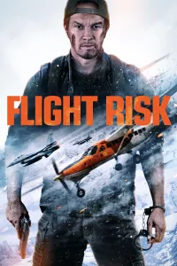სახიფათო რეისი ქართულად | Flight Risk Qartulad