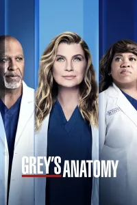 გრეის ანატომია ქართულად | Greys Anatomy Qartulad