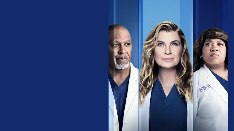 გრეის ანატომია ქართულად | Greys Anatomy Qartulad 