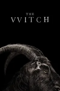 ალქაჯი ქართულად | The Witch Qartulad
